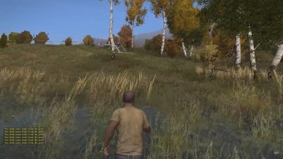 DayZ Standalone    2025