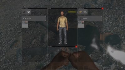 DayZ Standalone    2025