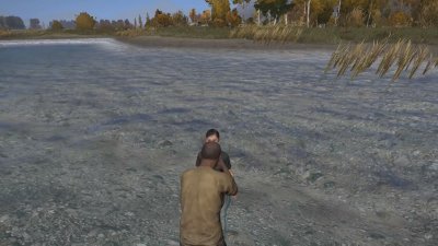DayZ Standalone    2025