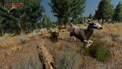 WolfQuest Anniversary Edition