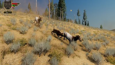 WolfQuest Anniversary Edition