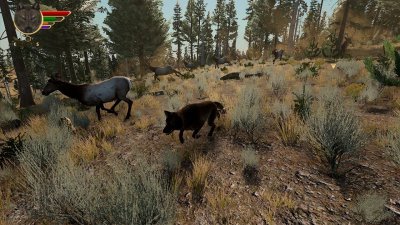 WolfQuest Anniversary Edition
