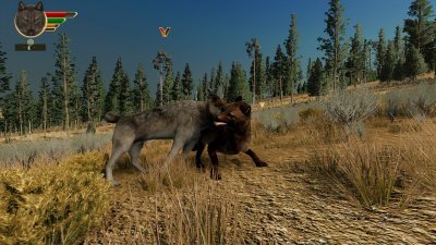WolfQuest Anniversary Edition