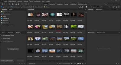Adobe Bridge 2025