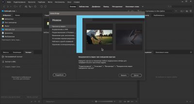 Adobe Bridge 2025