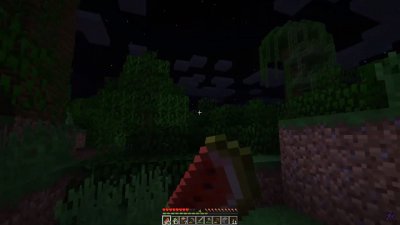  1.16.5