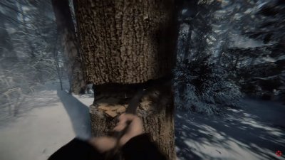 Sons of the Forest