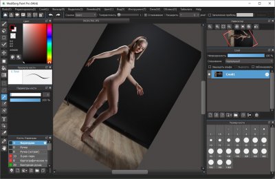 MediBang Paint Pro