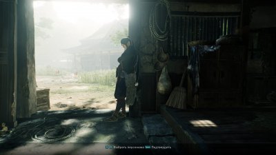 Rise of the Ronin
