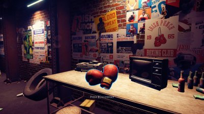 Sports Renovations