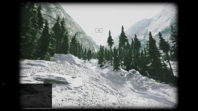 Lushfoil Photography Sim
