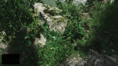 Lushfoil Photography Sim