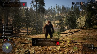 Bigfoot Life