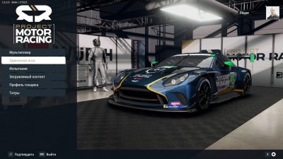 Project Motor Racing