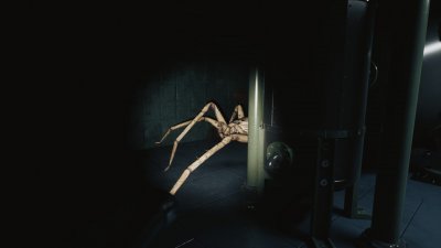 Huntsman