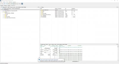 DMDE Pro