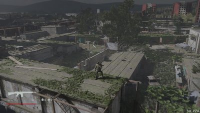 Where the forest ends