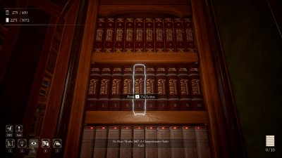 Librarian Tidy Up the Arcane Library
